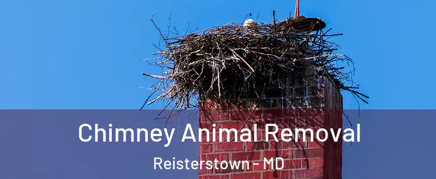  Chimney Animal Removal Reisterstown - MD