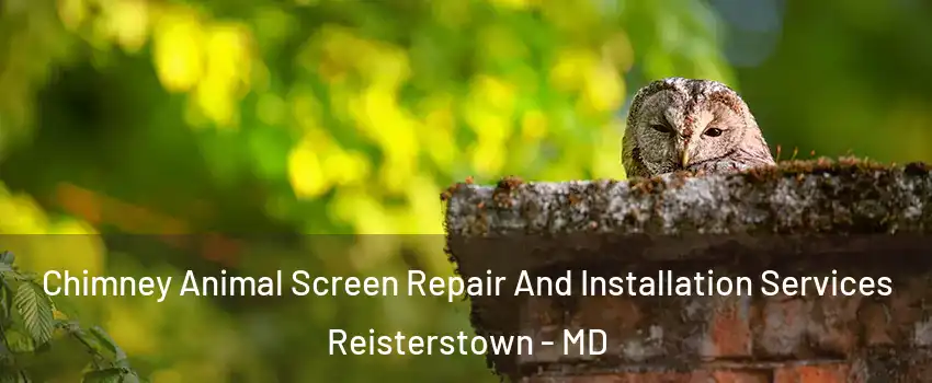  Chimney Animal Screen Repair And Installation Services Reisterstown - MD