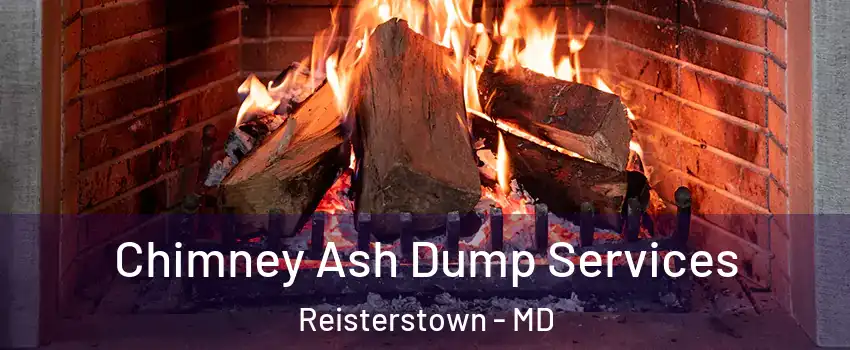  Chimney Ash Dump Services Reisterstown - MD