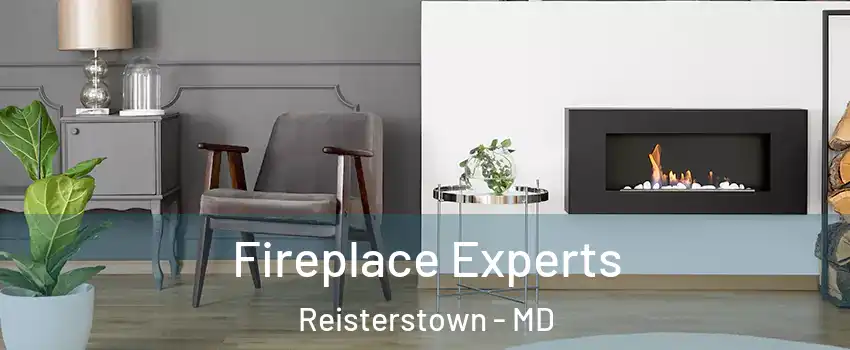  Fireplace Experts Reisterstown - MD