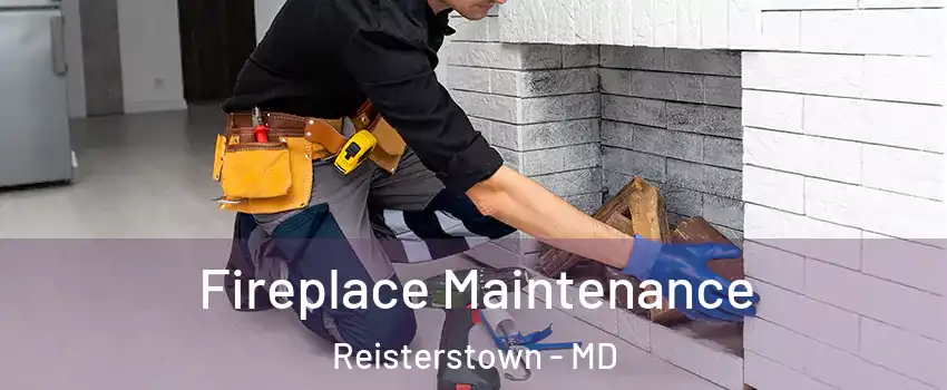  Fireplace Maintenance Reisterstown - MD