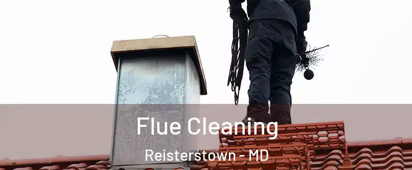  Flue Cleaning Reisterstown - MD