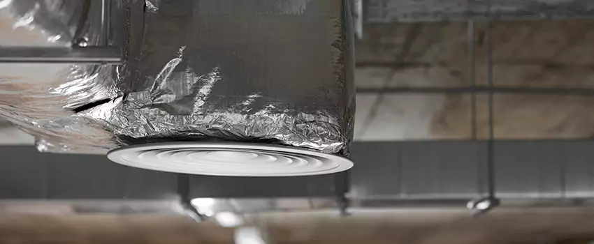 Signs of Dust Accumulation in Vents in Reisterstown, MD