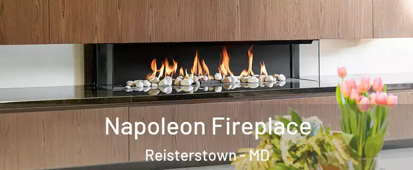  Napoleon Fireplace Reisterstown - MD