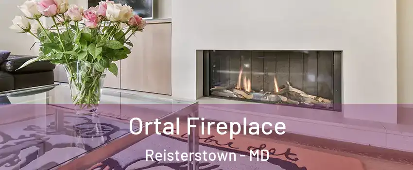  Ortal Fireplace Reisterstown - MD
