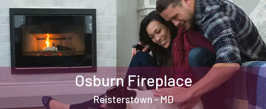  Osburn Fireplace Reisterstown - MD